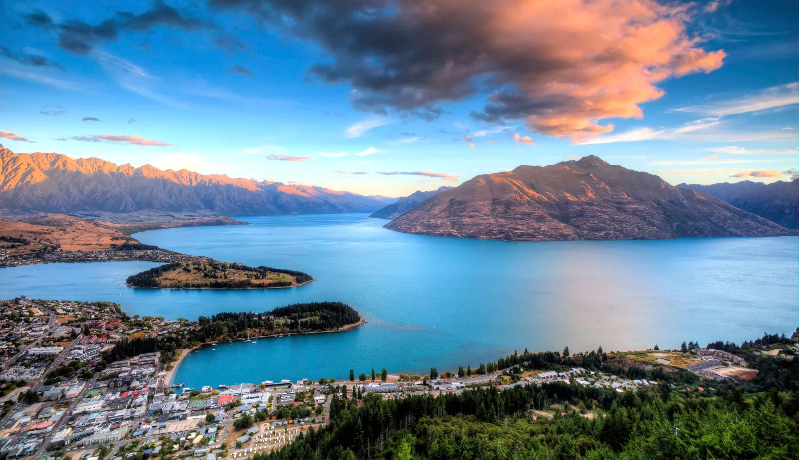 Acupuncture in New Zealand
