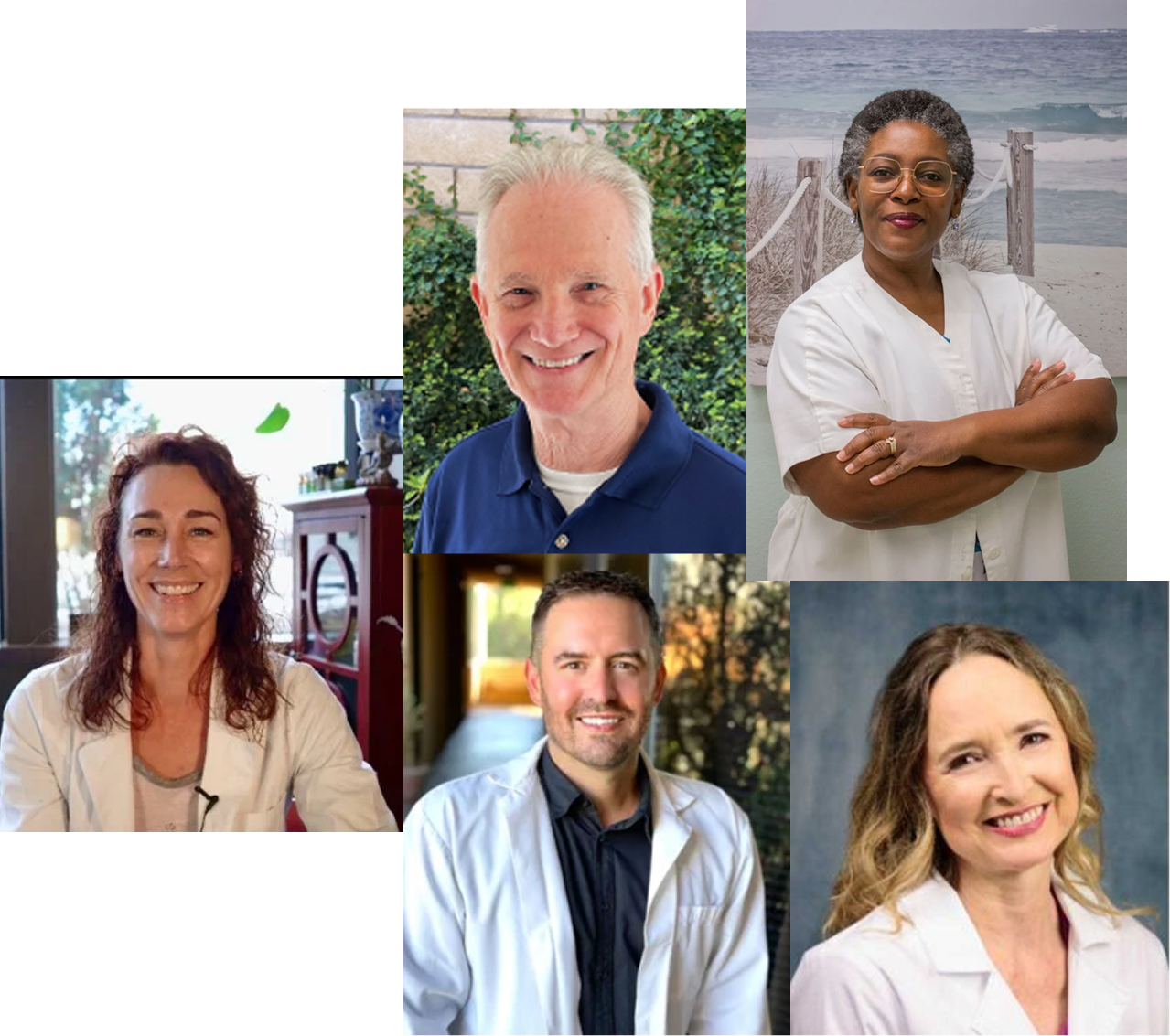 ANF Acupuncturist Network Members